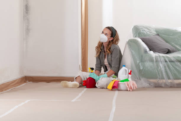 Reliable Mold Cleanup contractor in Hickory Corners, MI by Cheap Mold Removal